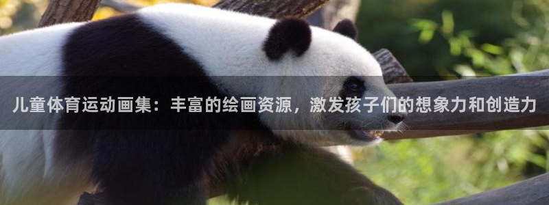 vsport体育官网下载软件：儿童体育运动画集：丰富的绘画资