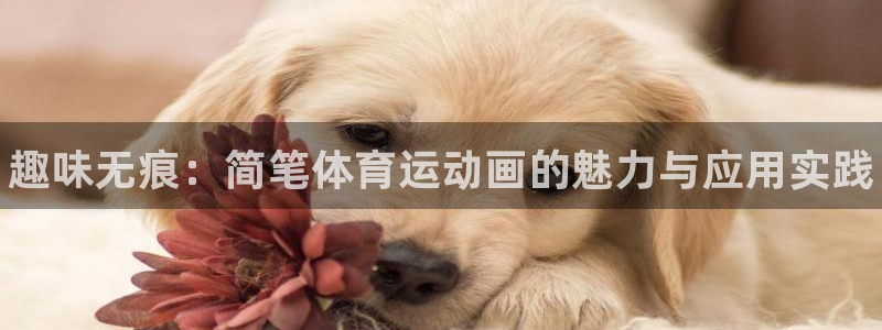 vsport体育官方正版app娱乐首页官网下载：趣味无痕：简