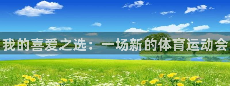 海南vsport体育官网下载：我的喜爱之选：一场新的体育运动