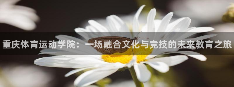 vsport体育官方正版app官方：重庆体育运动学院