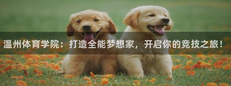 vsport体育官网下载：温州体育学院：打造全能梦想家，开启