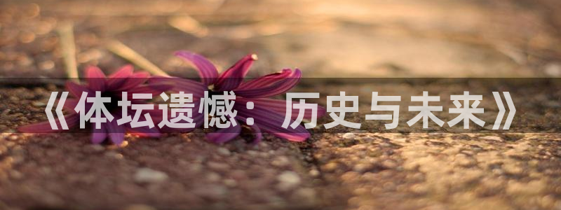 vsport体育官网下载平台注册流程图：《体坛遗憾：历史与未