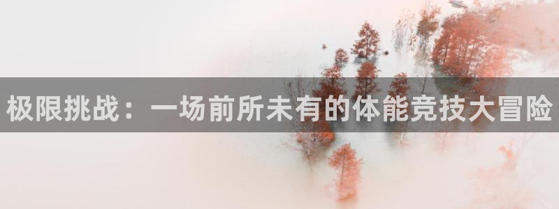 vsport体育官方正版app娱乐是那个系列的台子：