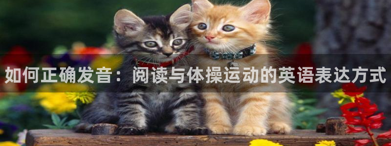 vsport体育官网下载平台假的吗是真的吗吗：如何正确发音：