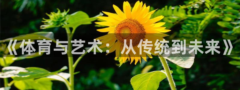 vsport体育官网下载招商电话号码查询是多少：《体育与艺术