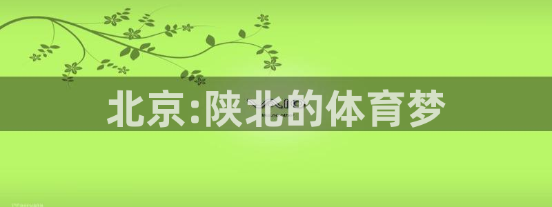 vsport体育官网下载平台是正规平台吗知乎：北京: