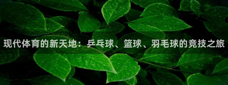 vsport体育官网下载平台注册要钱吗：现代体育的新天地：乒