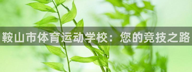 vsport体育官方正版app集团官网网址：鞍山市体