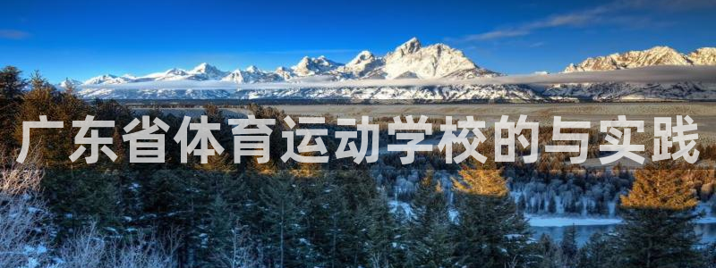 海南vsport体育官网下载发展怎么样