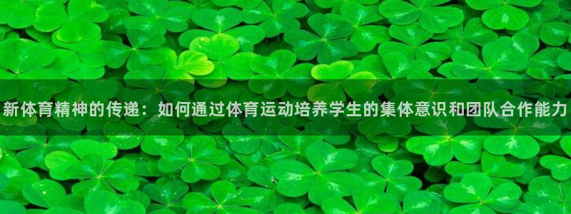 vsport体育官网下载平台注册：新体育精神的传递：