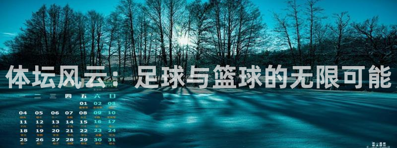 注册vsport体育官方正版app：体坛风云：足球与篮球的无