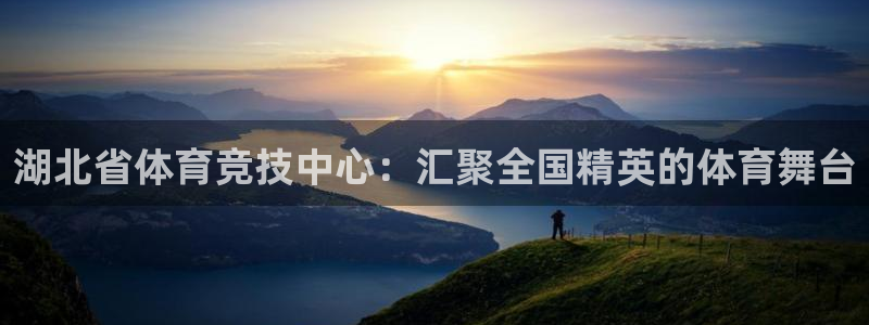 vsport体育官方正版app集团简介：湖北省体育竞