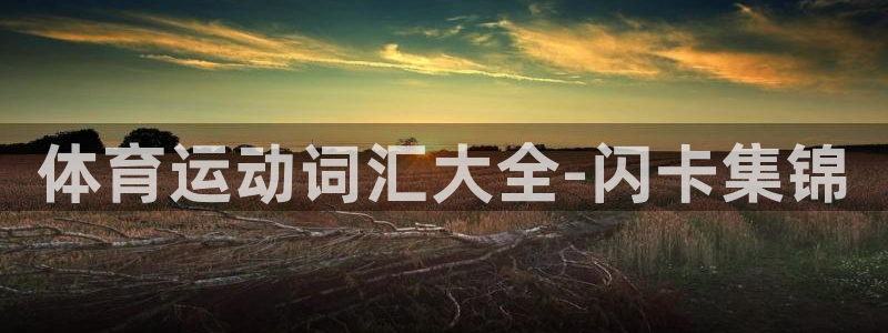 vsport体育官方正版app娱乐是那个系列的台子：