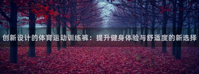 vsport体育官网下载招商电话：创新设计的体育运动