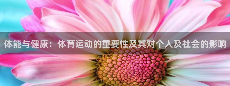 vsport体育官方平台体育