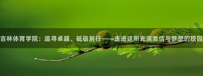 vsport体育官网下载招商电话号码是多少号：吉林体育学院：