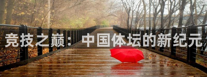 vsport体育官方平台体育