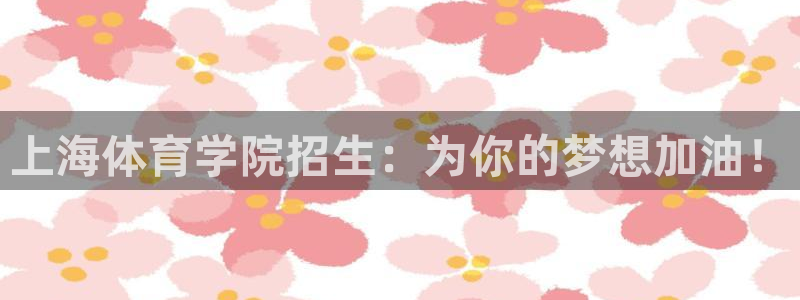 vsport体育官方正版app新能源
