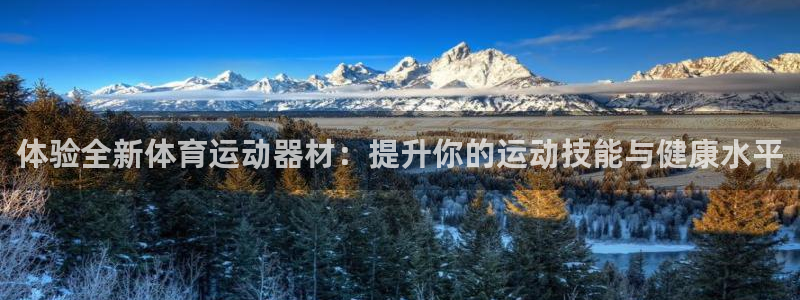 vsport体育官方正版app集团：体验全新体育运动器材：提