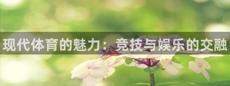 vsport体育官方集团官网：现代体育的魅力：竞技与娱乐的交
