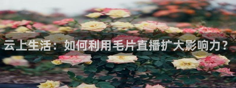 新闻图片