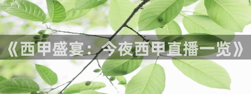 nba总决赛玩球直播：《西甲盛宴：今夜西甲直播一览》