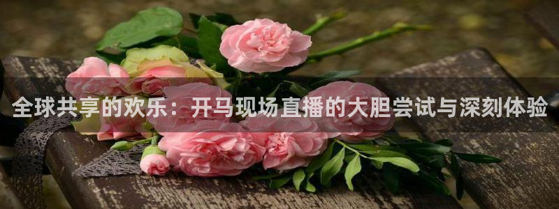 360玩球直播：全球共享的欢乐：开马现场直播的大胆尝试与深刻体验