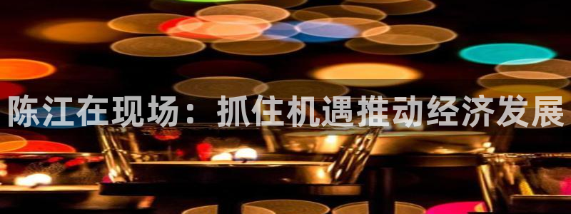 小罗玩球视频：陈江在现场：抓住机遇推动经济发展